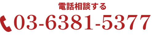 03-6381-5377